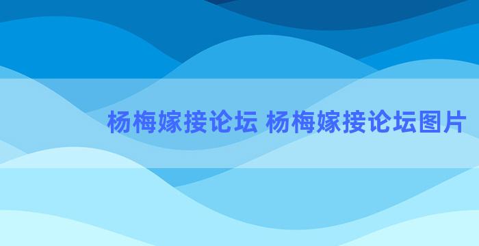 杨梅嫁接论坛 杨梅嫁接论坛图片